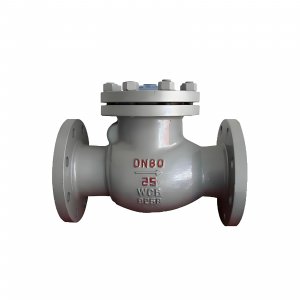 DN50 PN25 介質：甲胺，溫度：80℃止回閥