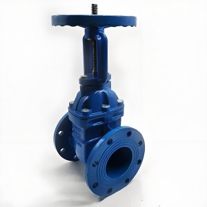 手動(dòng)閘閥Z41T-16 DN50/DN65廠家直銷，上海發(fā)